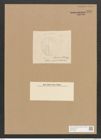Campylodiscus thuretii Breb. (de-Toni-Nr.: Genus 57, Species 2482) Zeichnungen Sammlung Grunow Nr. 4989 (NHMW-BOT-W0373229)